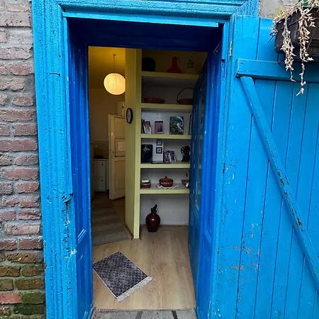 Vracar Affordable - Vracar Povoljni Stanovi Lägenhet Belgrad