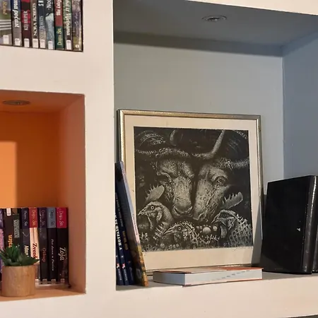 Vracar Affordable - Vracar Povoljni Stanovi *